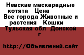 Невские маскарадные котята › Цена ­ 15 000 - Все города Животные и растения » Кошки   . Тульская обл.,Донской г.